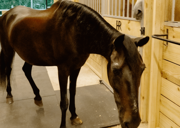 stable