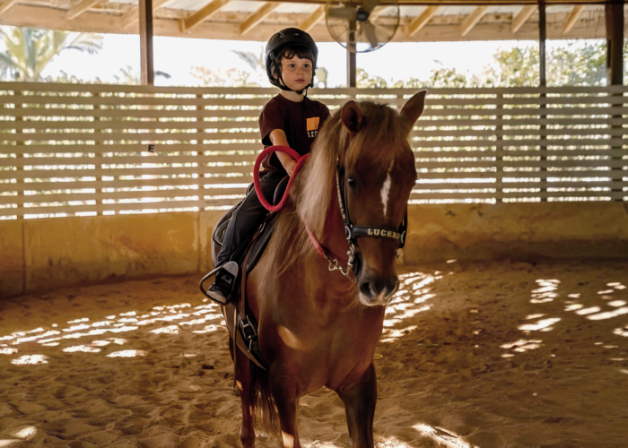 round pen