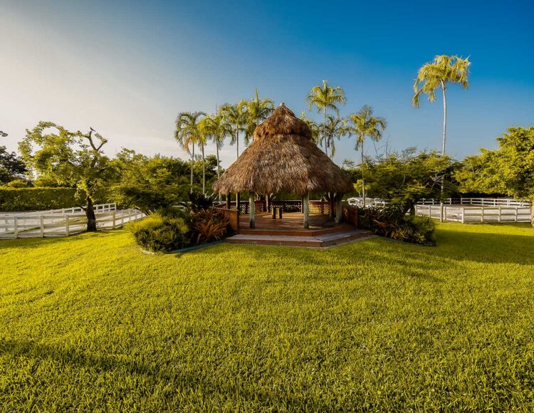 tiki hut